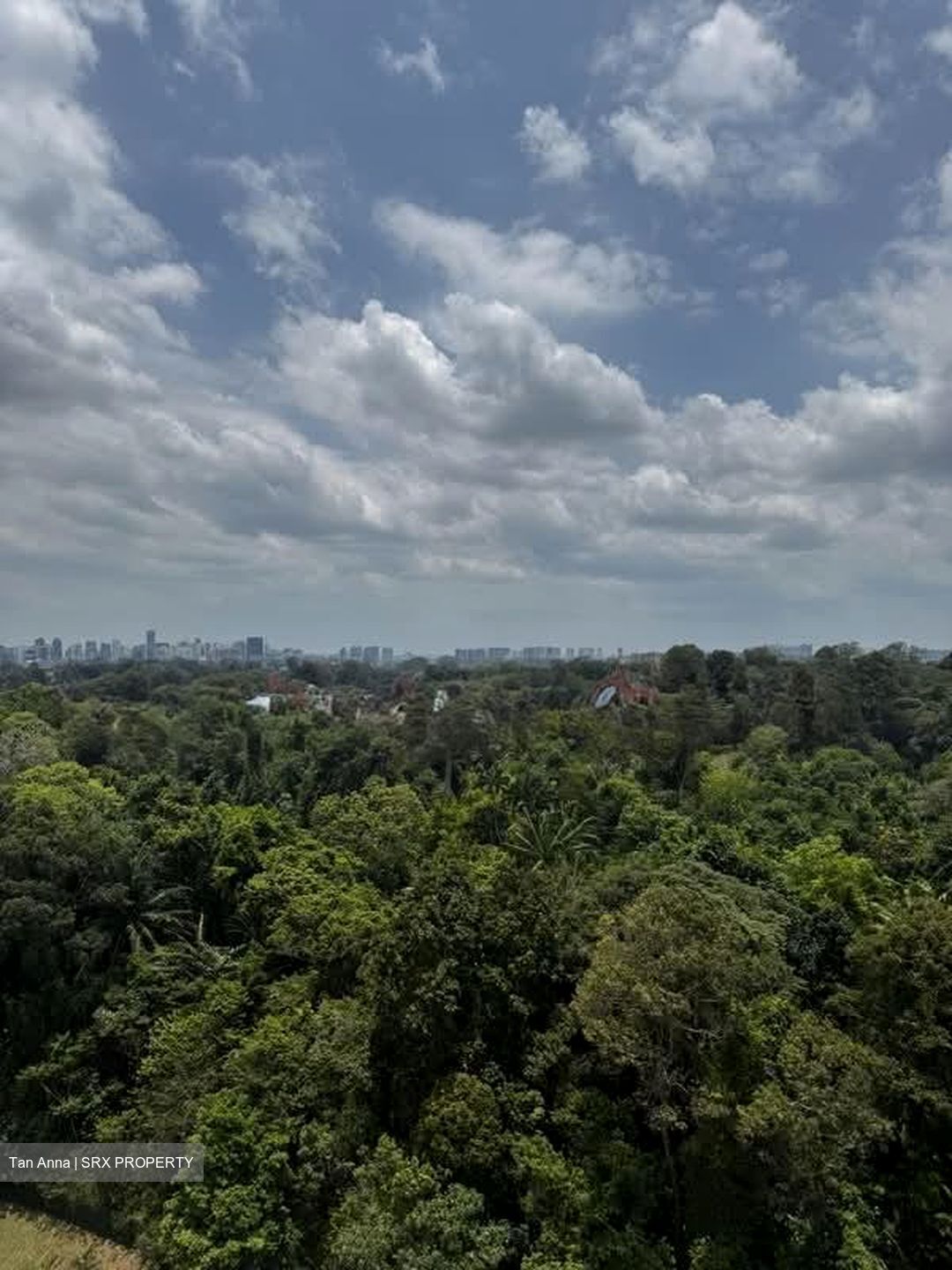 Lakeview Estate (D20), Apartment #563573881